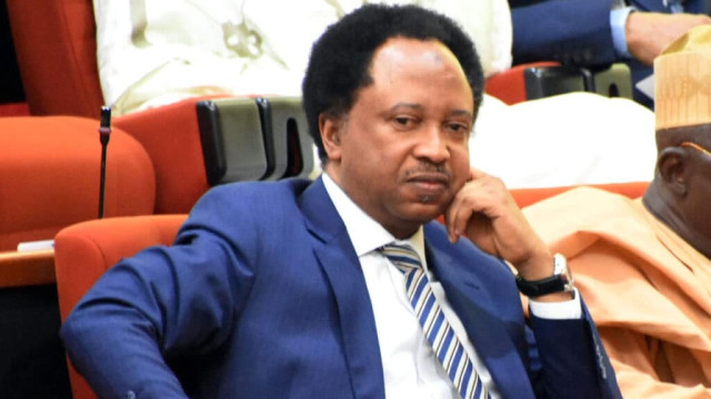 Photo of a former Senator representing Kaduna Central Senatorial District in the 8th National Assembly, Shehu Sani